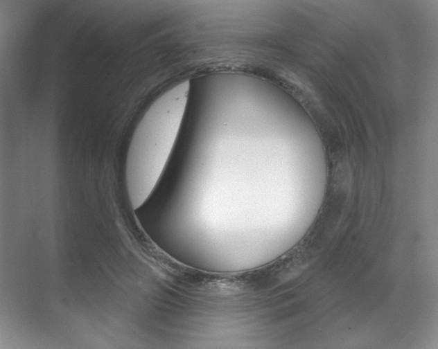 X0000071910498200607070949