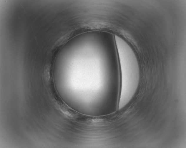 X0000071910501200607070949