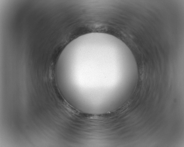 X0000071910515200607070948