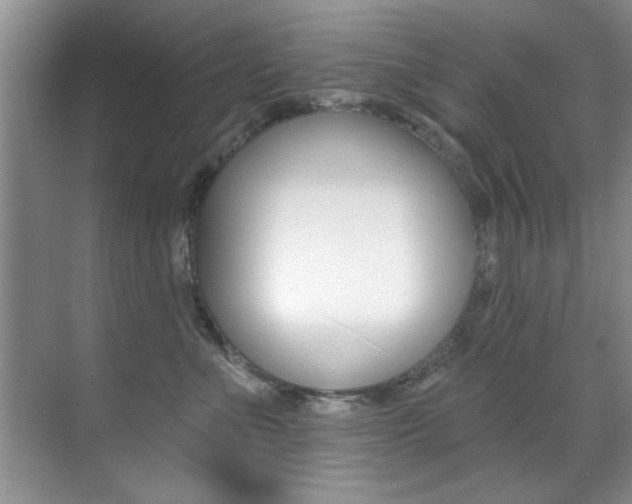 X0000071910523200607070948