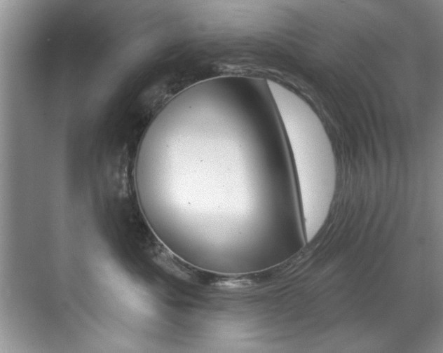 X0000071910525200607070948