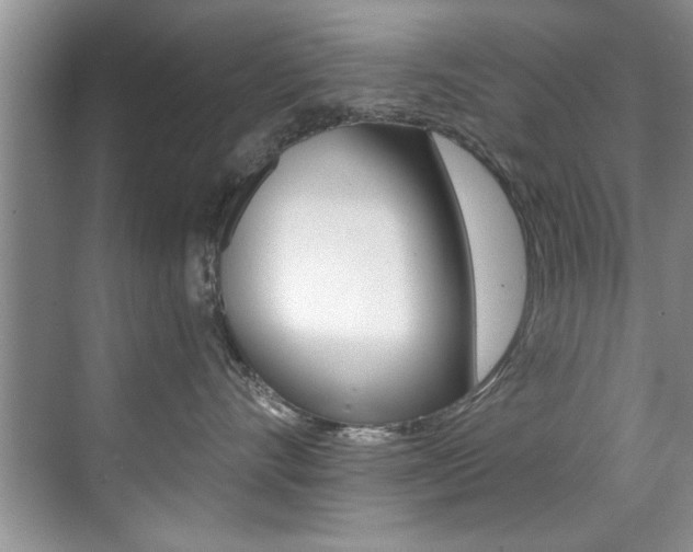 X0000071910528200607070948