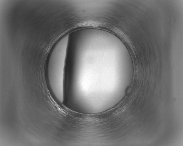 X0000071910529200607070947