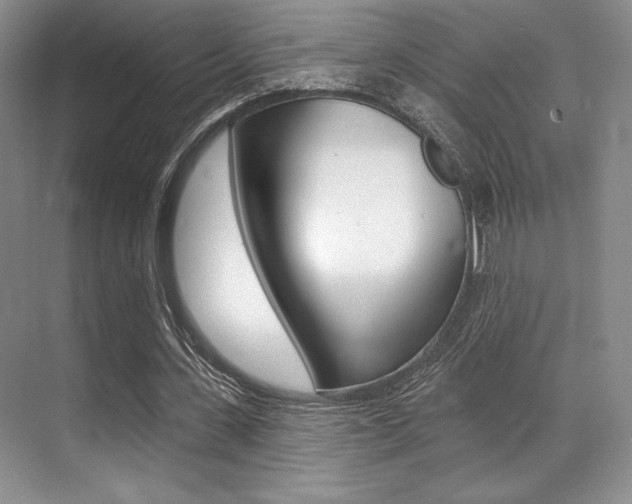 X0000071910531200607070947