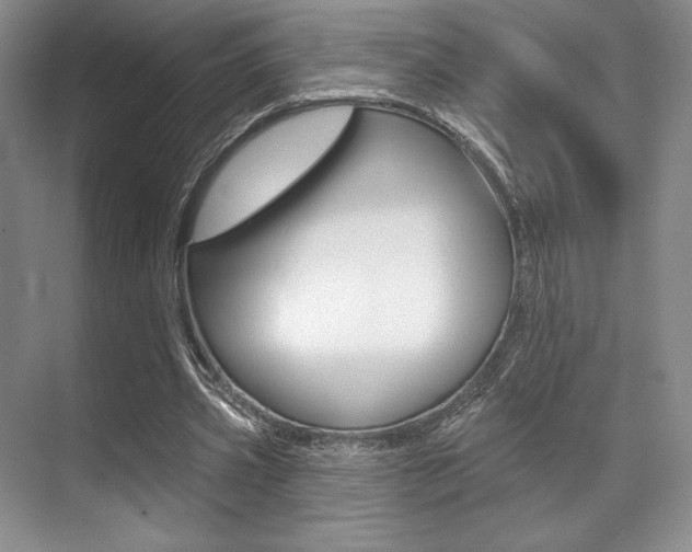 X0000071910533200607070947
