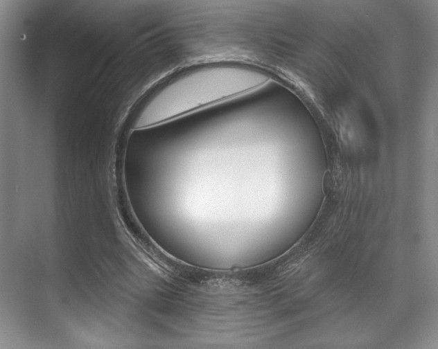 X0000071910535200607070947