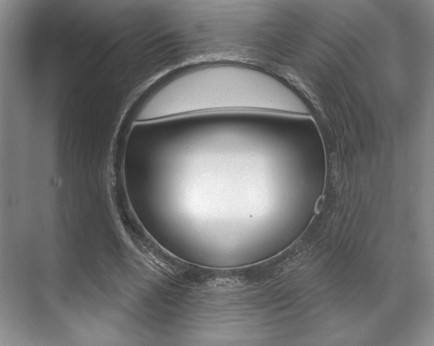 X0000071910536200607070947