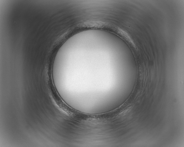 X0000071910538200607070948
