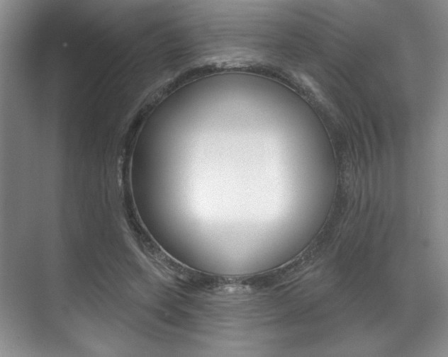 X0000071910543200607070948