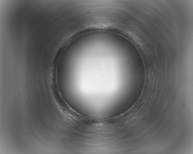 X0000071910544200607070948