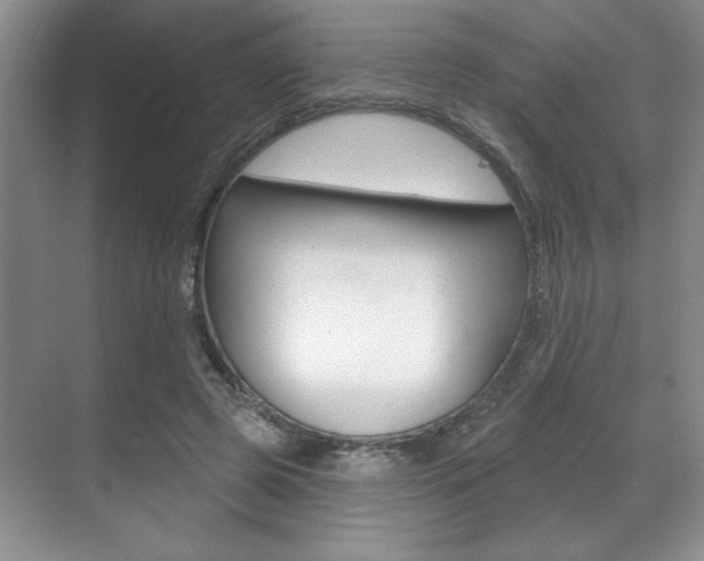 X0000071910545200607070948