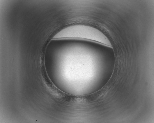 X0000071910546200607070948