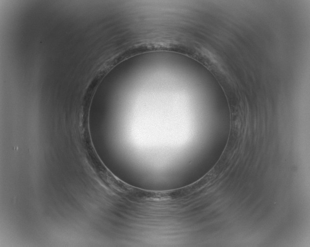 X0000071910548200607070948