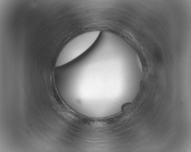 X0000071910549200607070948