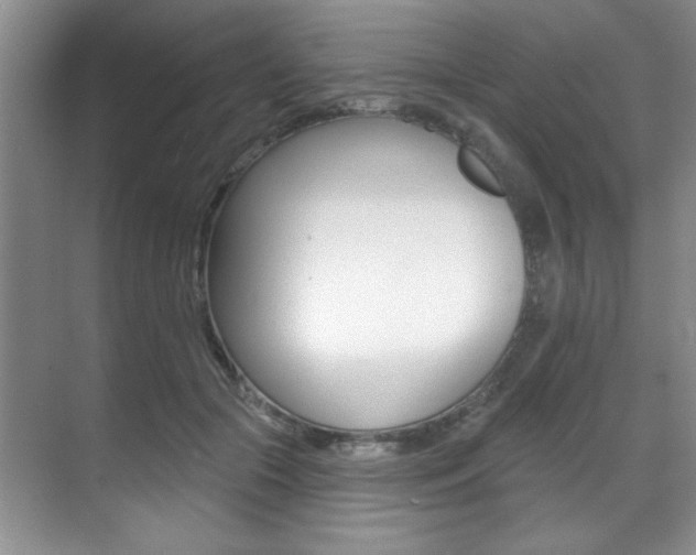 X0000071910553200607070948