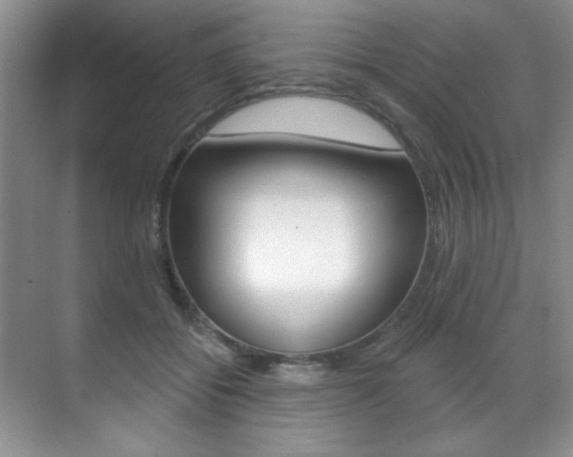 X0000071910556200607070948