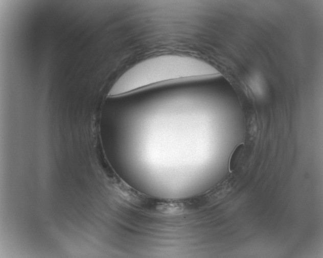 X0000071910559200607070948