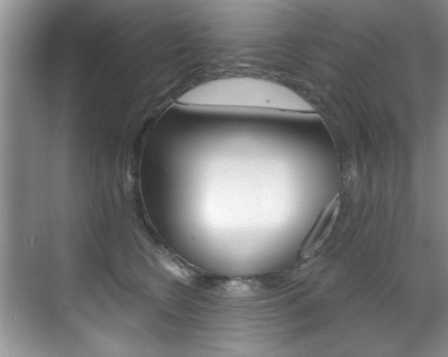 X0000071910566200607070948