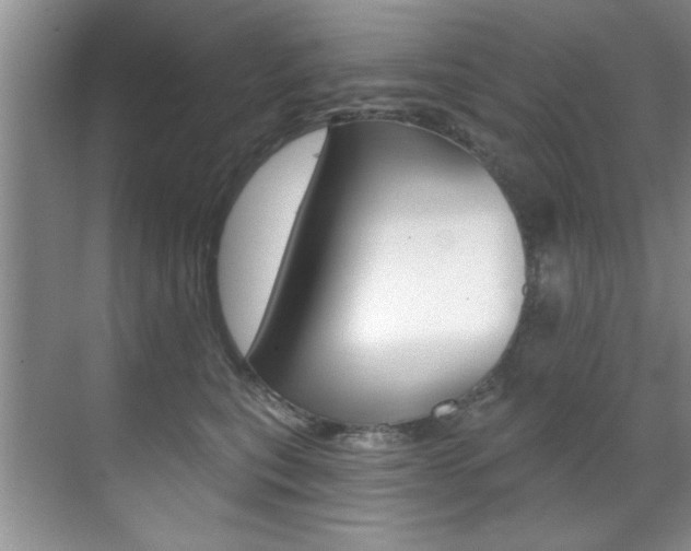 X0000071910567200607070948