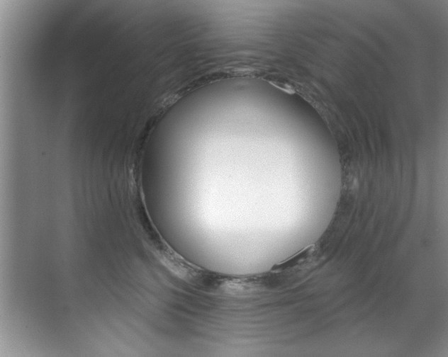 X0000071910568200607070948