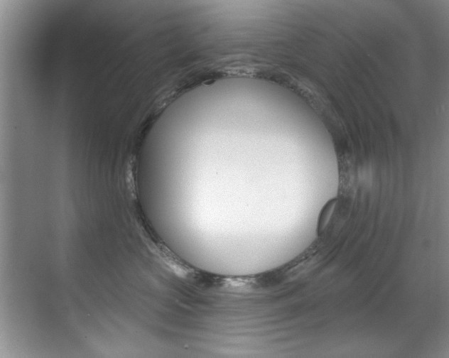 X0000071910573200607070948
