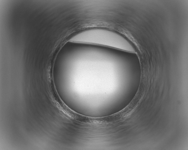 X0000071910585200607070947