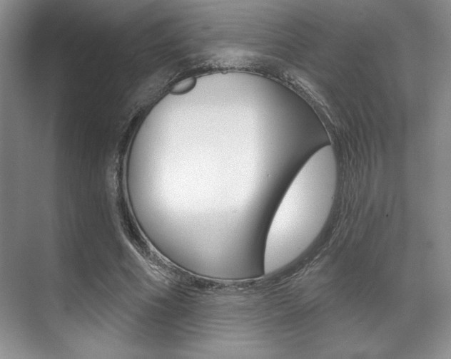 X0000071910586200607070947