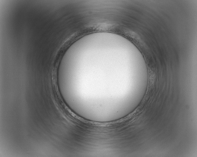 X0000071910591200607070947