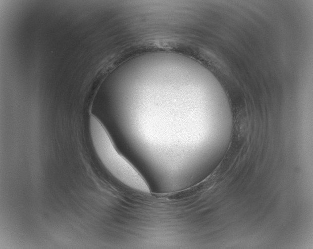 X0000071910595200607070947