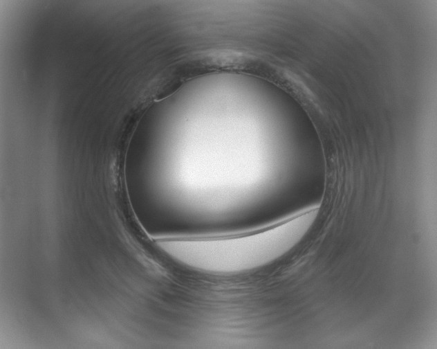 X0000071910597200607070947