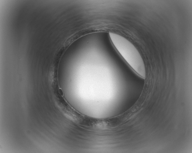 X0000071910600200607070947