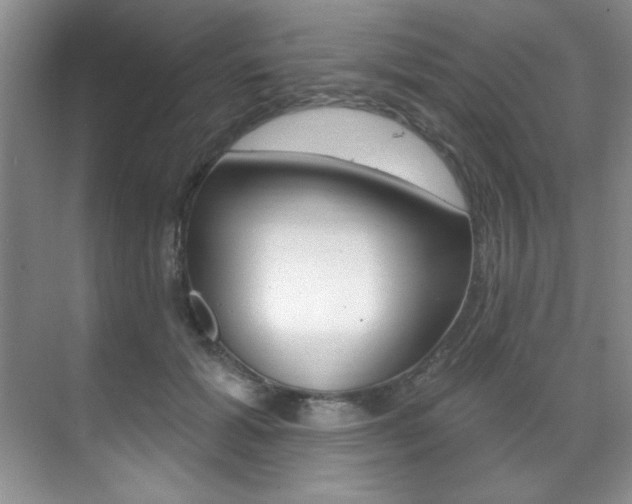 X0000071910605200607070947