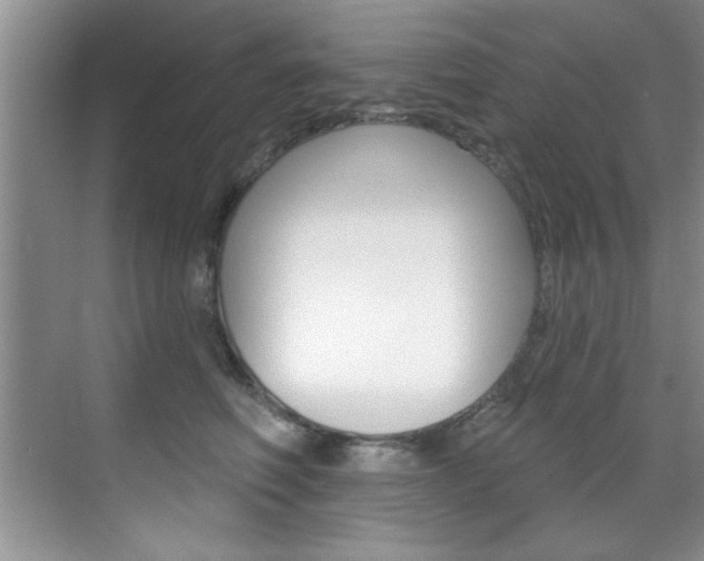 X0000071910614200607070947
