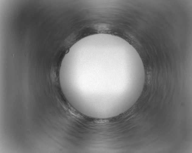 X0000071910618200607070947