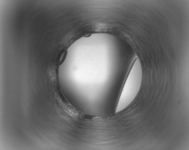 X0000071910620200607070947