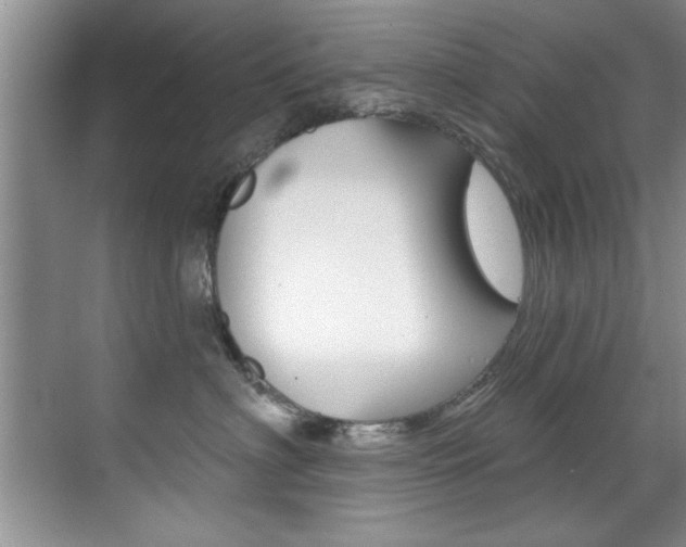 X0000071910622200607070947