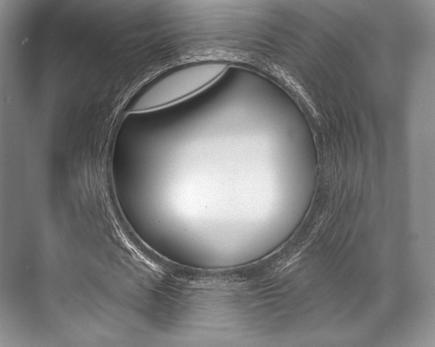 X0000071910625200607070946
