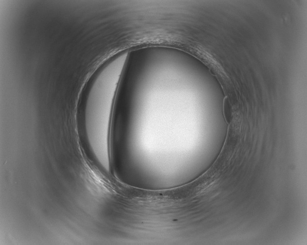 X0000071910626200607070946