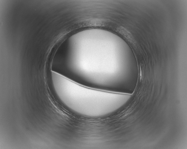 X0000071910627200607070946