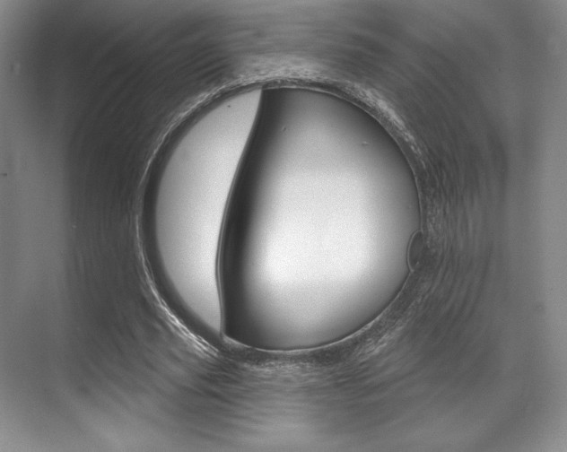 X0000071910629200607070946