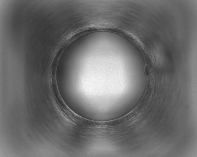X0000071910631200607070946