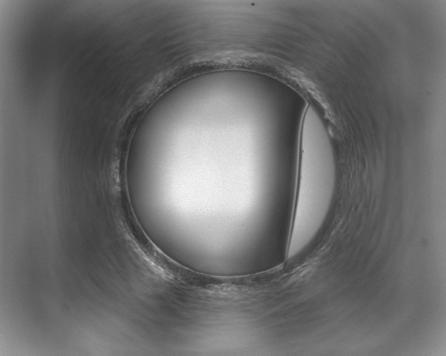 X0000071910633200607070946
