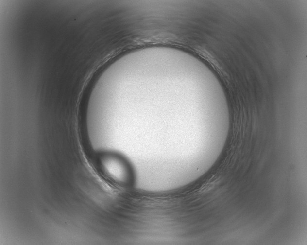 X0000071910634200607070946
