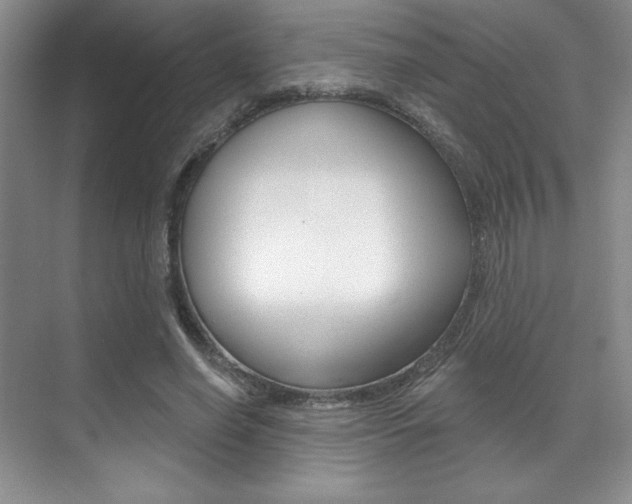 X0000071910638200607070946
