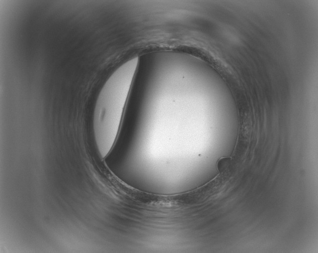 X0000071910639200607070946