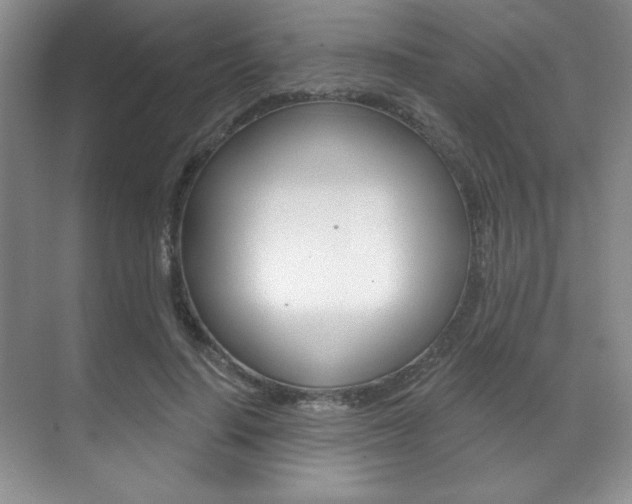 X0000071910644200607070946