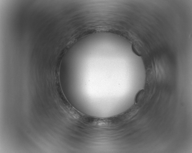 X0000071910655200607070946