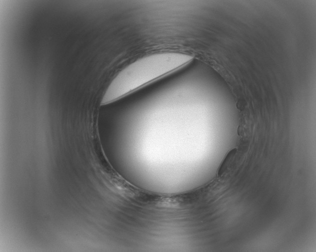 X0000071910656200607070946