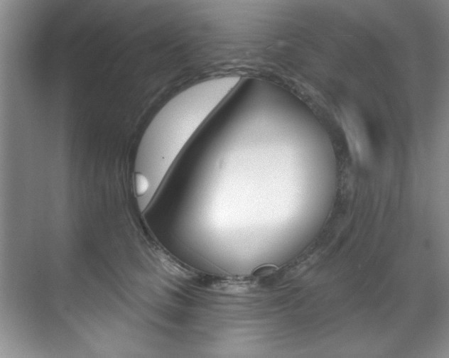 X0000071910661200607070946