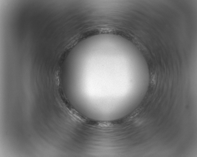 X0000071910666200607070946